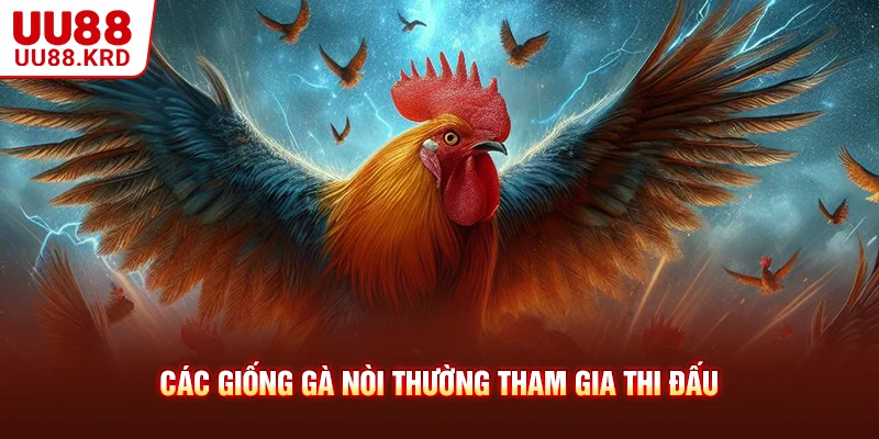 Các giống gà nòi thường tham gia thi đấu