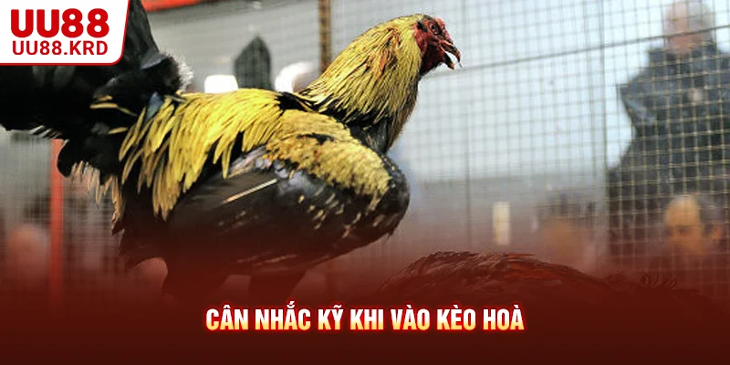 Cân nhắc kỹ khi vào kèo Hoà