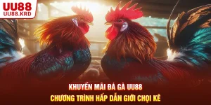 Khuyến Mãi Đá Gà UU88 - Chương Trình Hấp Dẫn Giới Chọi Kê