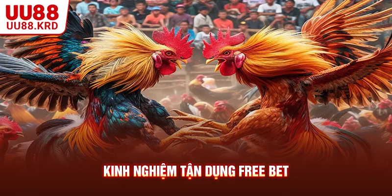 Kinh nghiệm tận dụng free bet
