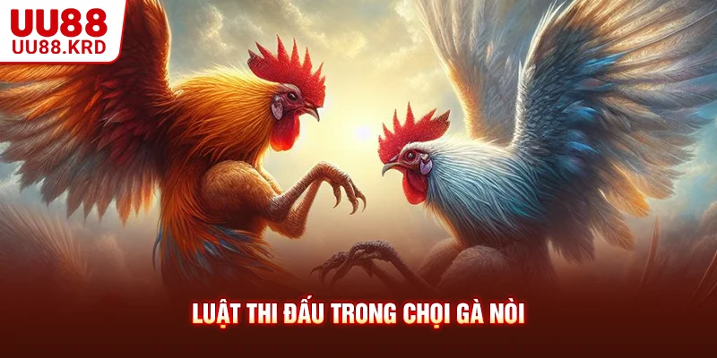 Luật thi đấu trong chọi gà nòi