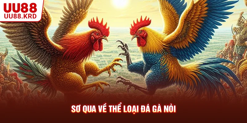Sơ qua về thể loại đá gà nòi