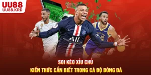 Soi Kèo Xỉu Chủ - Kiến Thức Cần Biết Trong Cá Độ Bóng Đá