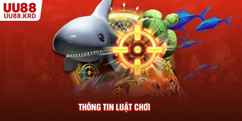 Thông tin luật chơi Thông tin luật chơi